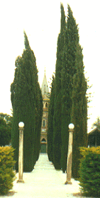 [Lutheran Church. Borassa valley]